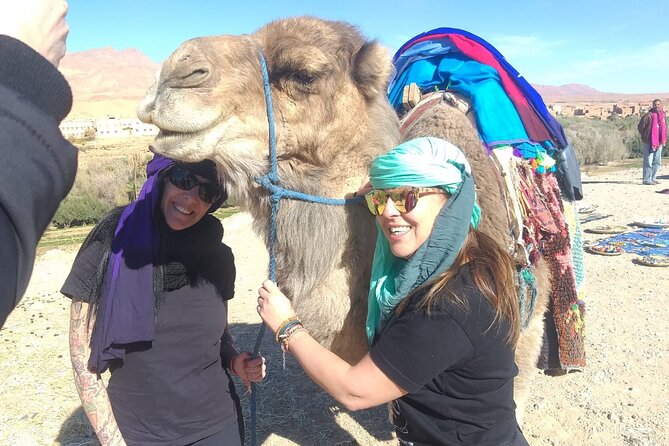 Private Transport from Chefchaouen to Tangier - Booking details and cancellation flexibility