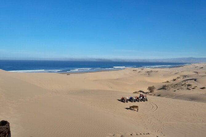 Quad Bike and Sandboarding on Sand Dunes Wild Beach - Three hours across sand, stone, and eucalyptus trees