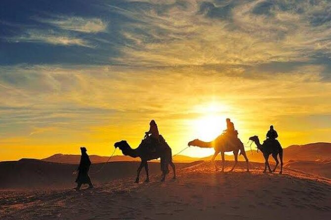 Quad Bike & Camel Ride & Dinner Show In Agafay Desert - Harira, tagine, tea, and the dinner show