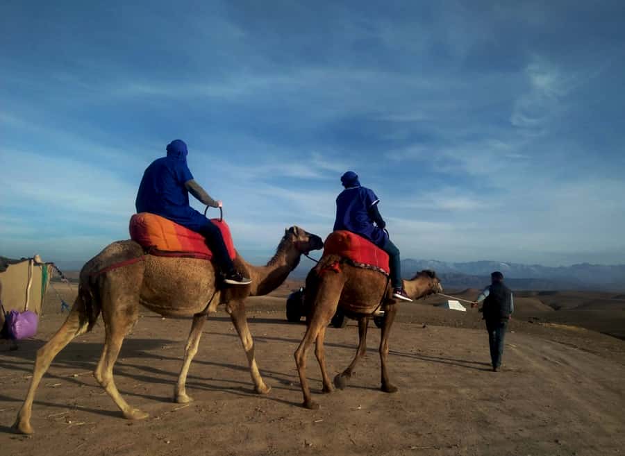 Quad bike & Camel ride in Agafay with dinner at Chouf L’or - Quad biking across Agafay’s rough ground