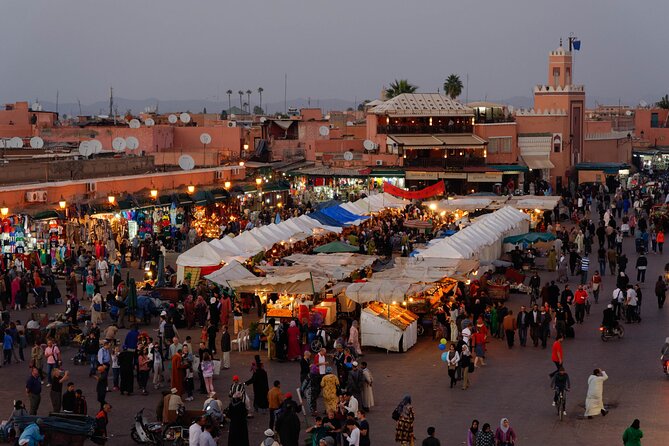 quad bike tour in the palmeraie of Marrakech - What the Palmeraie is really like
