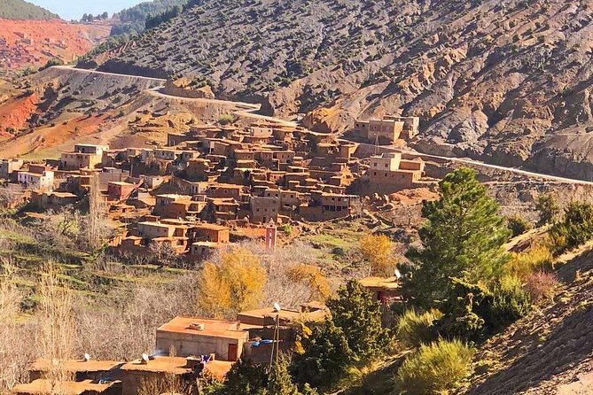 Quad Biking and Camel Ride Guided Day Trip from Marrakech - Is $104.96 good value?
