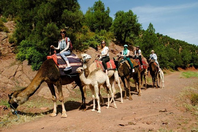 Quad Biking and Camel Ride Guided Day Trip from Marrakech - The guide can shape the whole day
