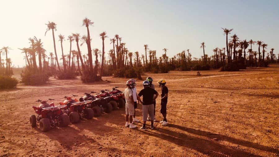 Quad biking in Marrakech's desert palm grove - Quick points before you book