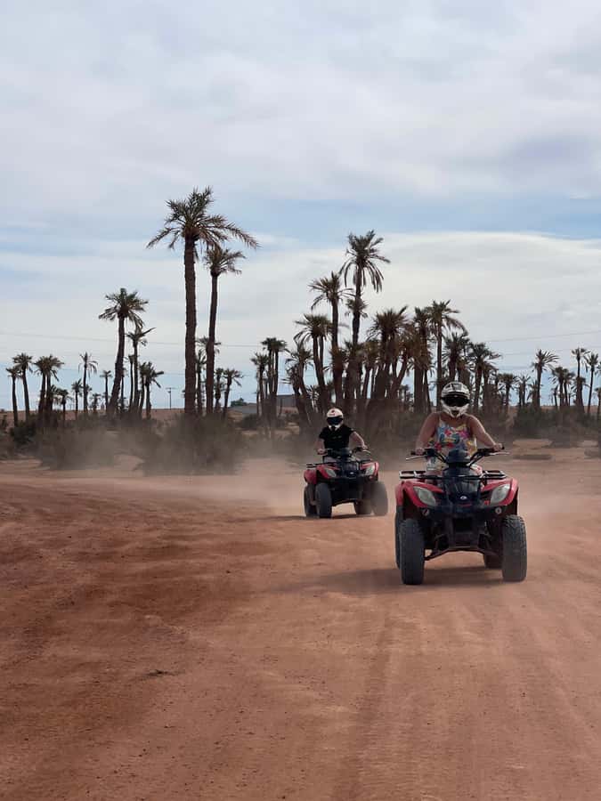 Quad biking in Marrakech's desert palm grove - Who will enjoy this ride most?