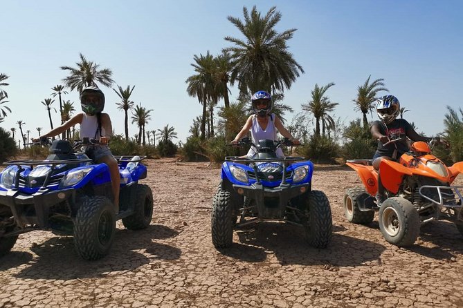 Quad, camel and dinner with show in the desert of Agafay - Key points before you book