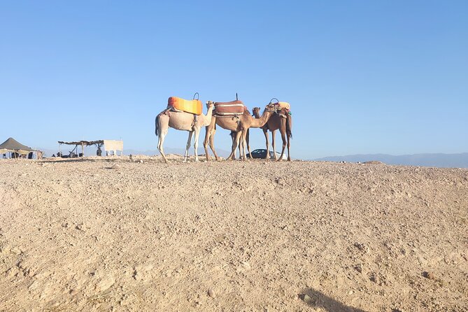 Quad excursion to the Agafay desert near Marrakech - Riding across Agafay’s open ground