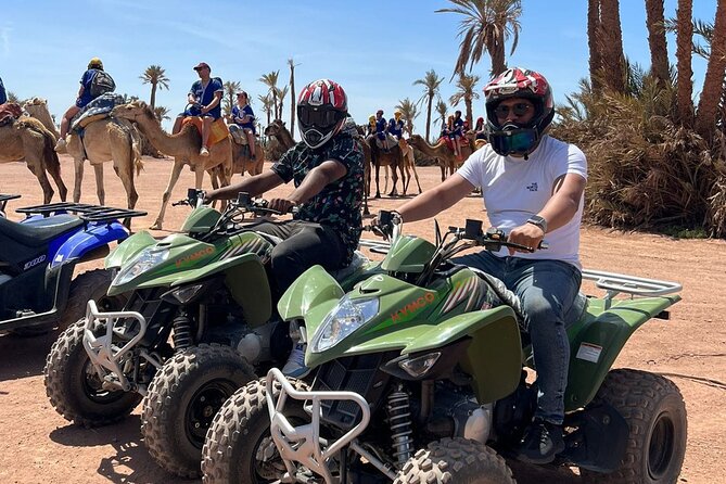 Quad in the Palmeraie of Marrakech - Key points to know before booking
