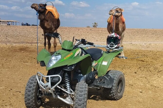 Quad in the Palmeraie of Marrakech - Leaving Marrakech for the eleventh-century Palmeraie