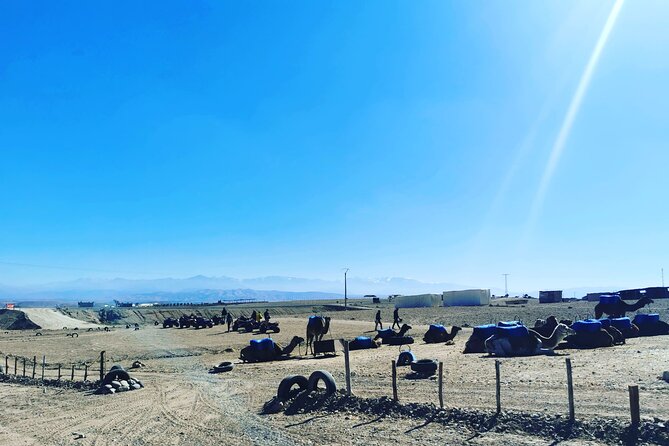 Quad Ride In The Agafay Desert - What the $46.53 price really offers