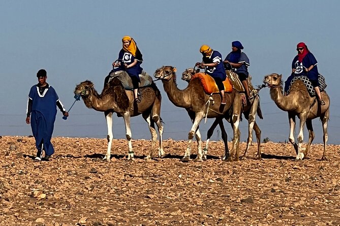 Quad tour to La Palmeraie de Marrakech - Is $63.91 good value?