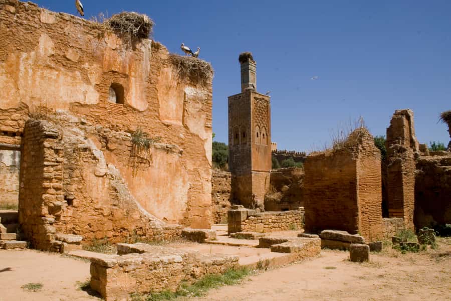 Rabat: Full-Day Trip from Casablanca - Chellah, the stop that needs careful timing