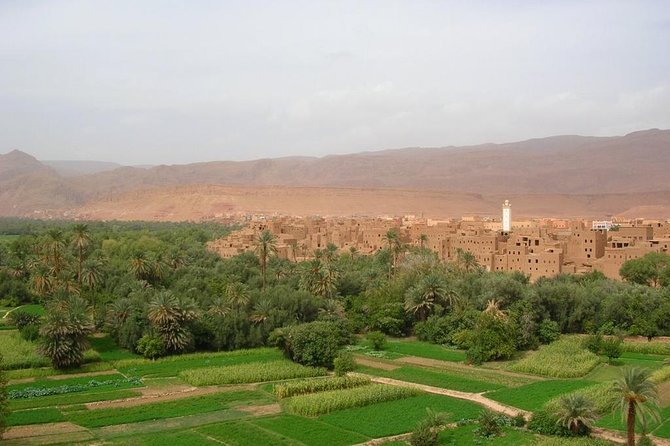 Sahara 3days/2nights mini-circuit - Ouarzazate, the Roses Valley, and Dades Gorge