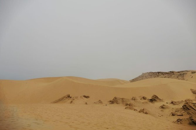 Sandboarding guided experience from Agadir - The ride north toward Tamri