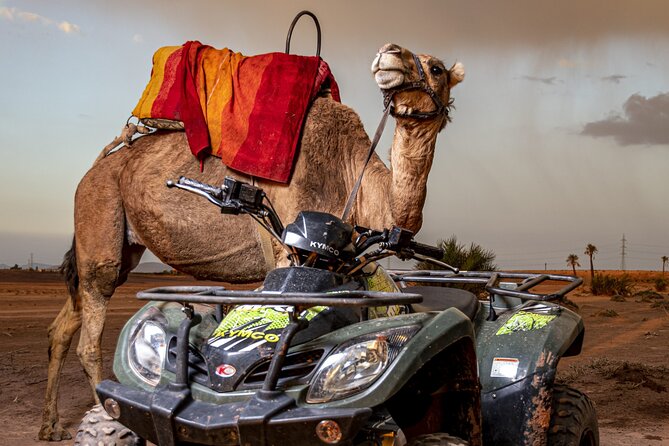 Sensational quad and camel ride in the palm grove - Moroccan tea with views toward the Atlas