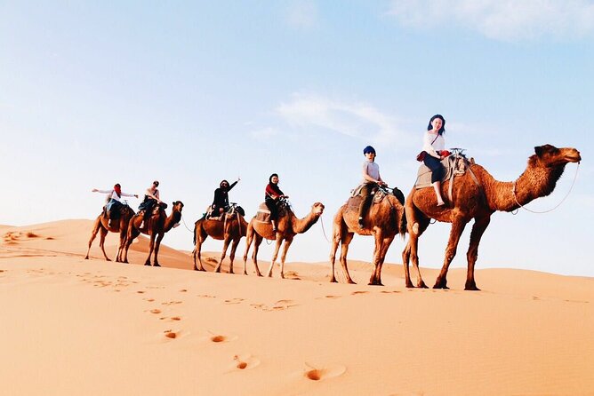 Shared Group 3 Days/2Nights: Fez to Marrakech Sahara Tour - Five things to know before booking
