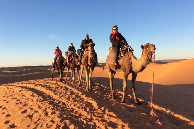 Shared Group 3 Days/2Nights: Fez to Marrakech Sahara Tour - Camel trekking and sunrise at Erg Chebbi