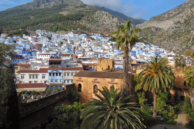 Shared Group Chefchaouen Day Trip from Fez - The return to Fez in the evening