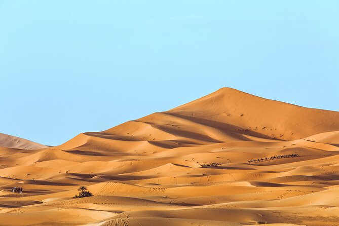 Shared Group Desert Tour Fes To Marrakech Via Merzouga 3 Days - What the $313.59 price really gives you