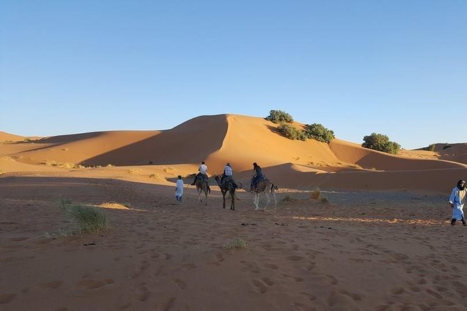 Shared Group Desert Tour Fez to Fez via Merzouga 2Days /1night - Why this two-day Fez desert trip is appealing
