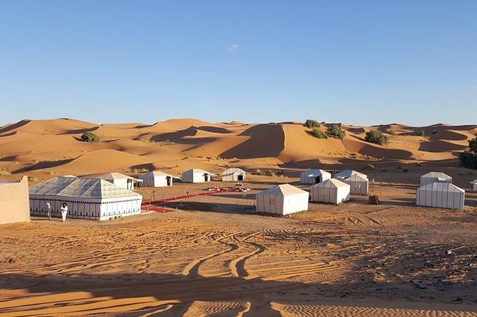 Shared Group Desert Tour Fez to Fez via Merzouga 2Days /1night - Day one: leaving Fez for the Middle Atlas