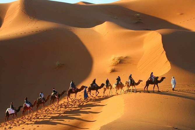 Shared Group Desert Tour from Marrakech for 3 days - The Shared Vehicle and Group Pace