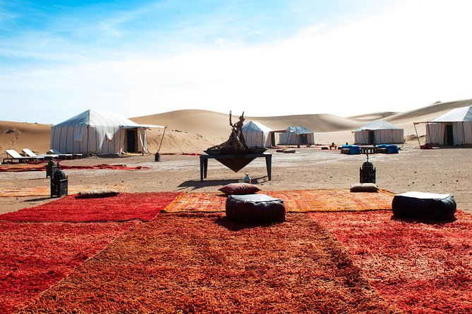 Shared Group Desert Tour from Marrakech for 3 days - Who Will Enjoy This Desert Trip Most
