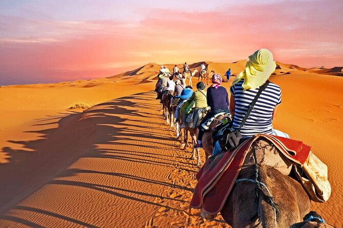 Shared group Fez to Fez Sahara tour 2Days/1Night - Arriving at Erg Chebbi and riding into the dunes