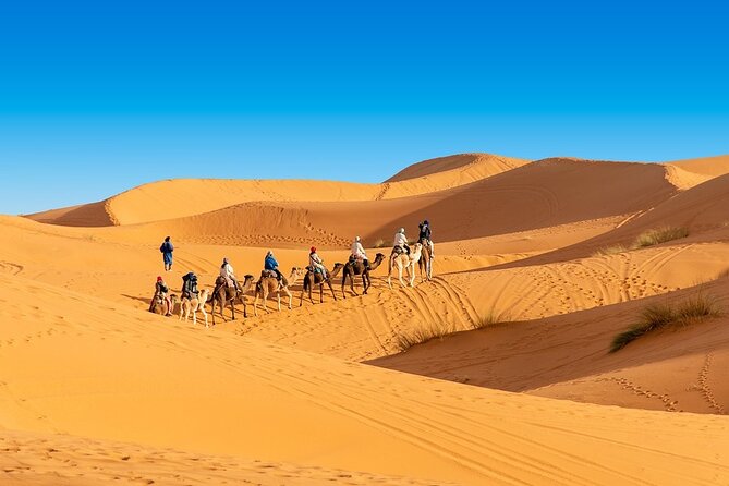 Shared group Fez to Fez Sahara tour 2Days/1Night - Dinner, Berber drumming, and a warm camp night