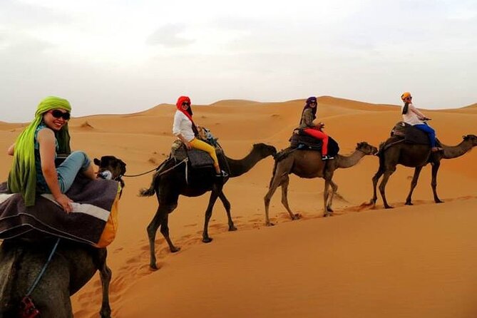 Shared group Fez to Fez Sahara tour 2Days/1Night - Ifrane, Azrou, Midelt, and the Ziz Valley