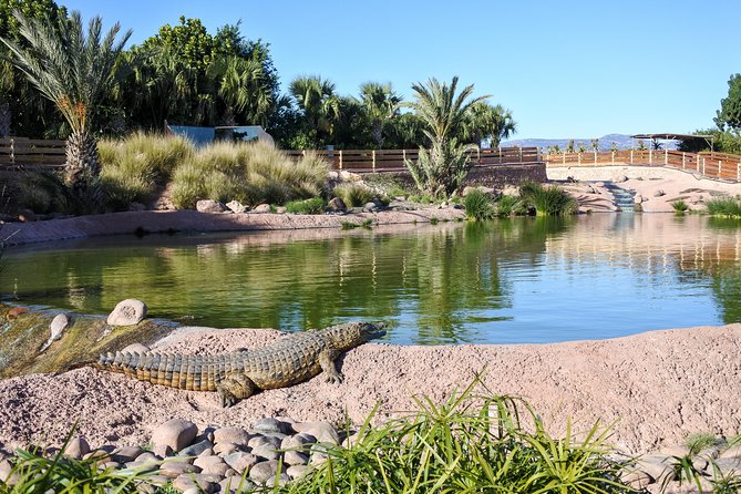 Skip the Line Ticket to Crocoparc with Optional Transfert - The Aquatic Garden and its Victoria water lilies