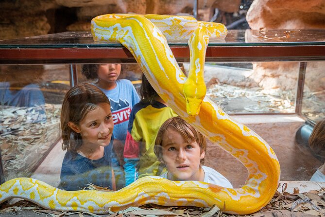 Skip the Line Ticket to Crocoparc with Optional Transfert - How long should you stay?