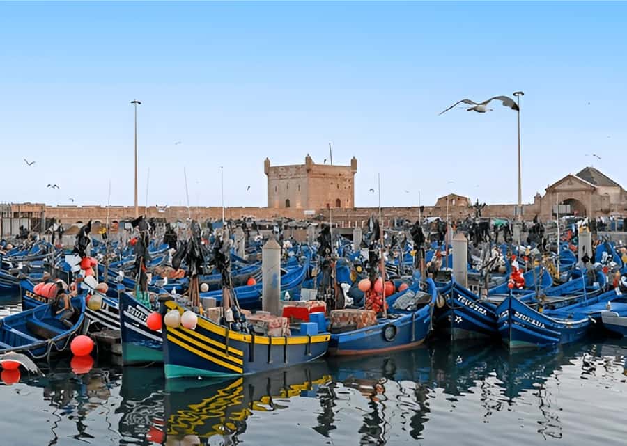 Small-Group Day Trip from Marrakech to Essaouira Mogador - Why Essaouira is worth the road trip