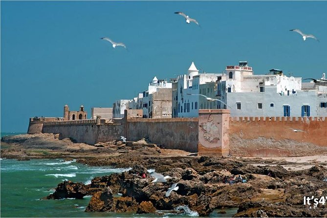 Small-group Day Trip to Essaouira from Marrakech - Argan oil at a women’s cooperative