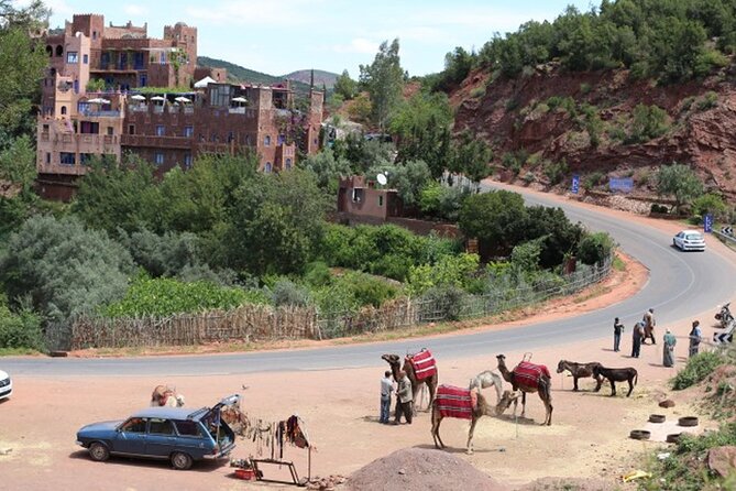Small Group Day Trip to Ourika Valley & Atlas Mountains - Lunch beside the river, at your own cost