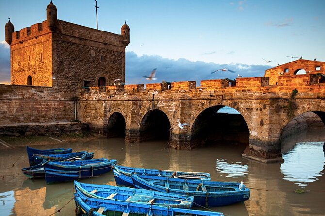 Small Group Essaouira Mogador Day Trip From Marrakech - A comfortable vehicle and a driver who sets the tone