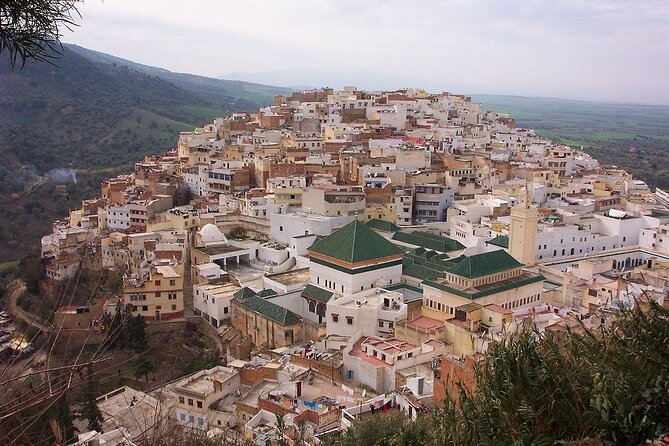 Small Group: From Fez to Volubilis -Mouly Idriss and Meknes day trip - Volubilis and its 2,000-year-old Roman remains