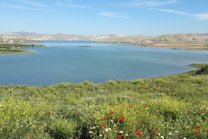 Small-Group Full-Day Meknes, Volubilis and Moulay Idriss Zerhoun Tour from Fez - Guides, pacing, and the small-group promise