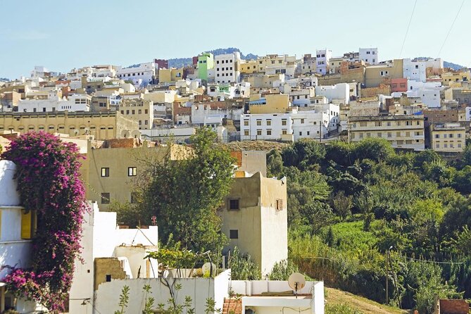 Small-Group Full-Day Meknes, Volubilis and Moulay Idriss Zerhoun Tour from Fez - Volubilis, Roman Morocco in open country