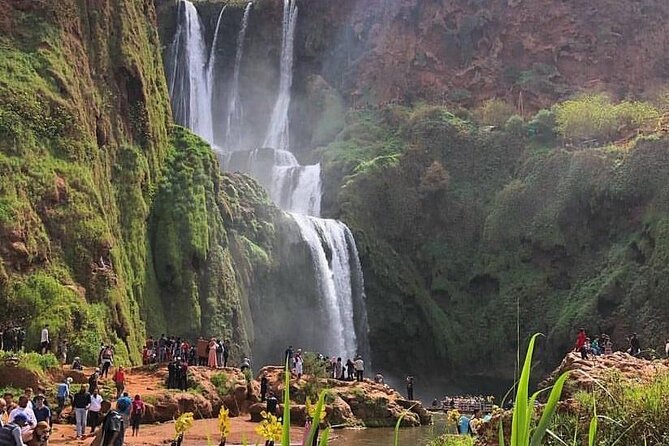 Small group Ouzoud Waterfall Guided Tour Boat Ride from Marrakech - What makes this Ouzoud day trip worth considering
