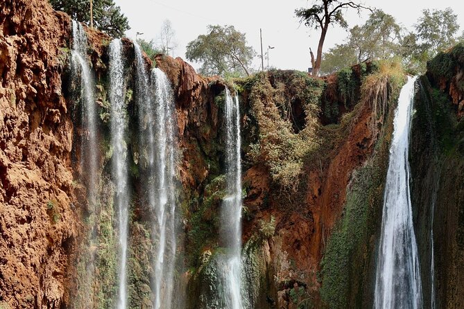 Small group Ouzoud Waterfall Guided Tour Boat Ride from Marrakech - What the guides can add to the day