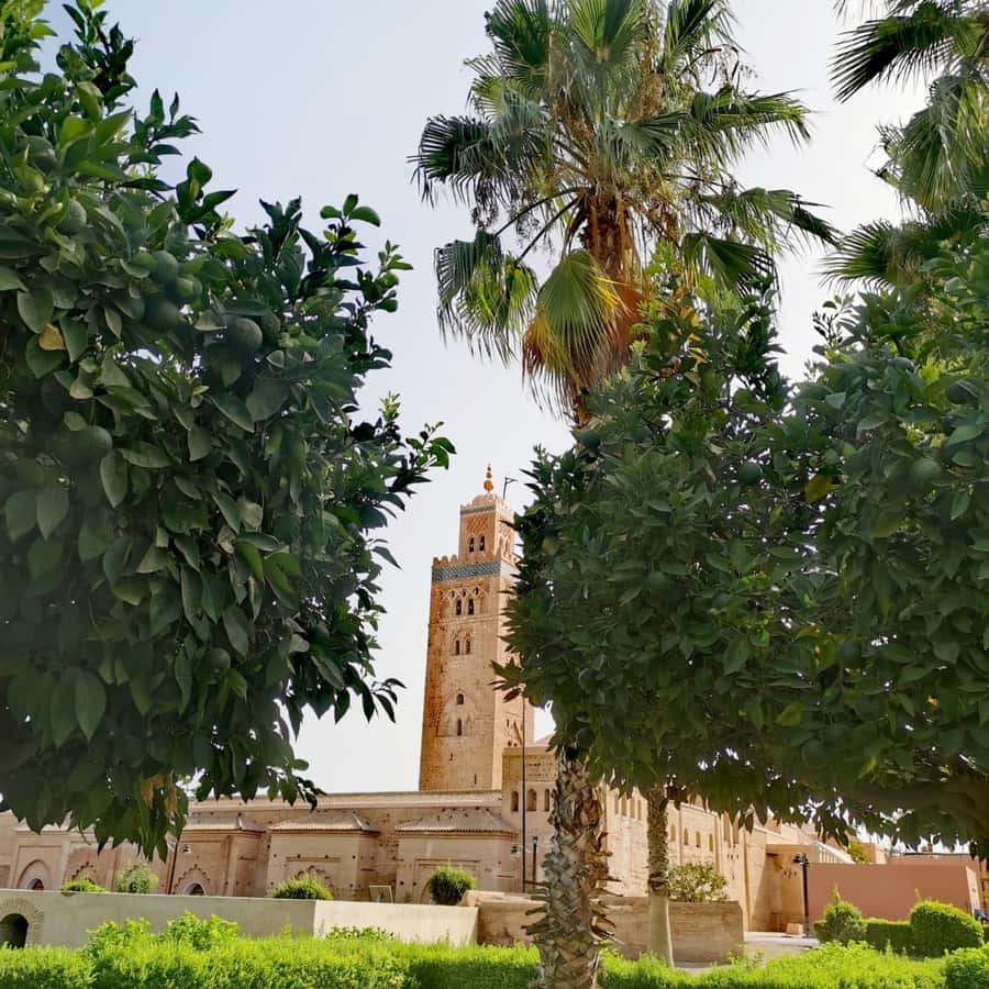 Sparkling Marrakech through the eyes of your local Guide - Koutoubia Mosque and the city’s main landmark