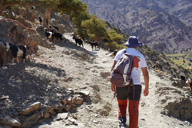 Summiting and Hiking the Atlas Mountains Day Trek from Marrakech - The guides make a real difference