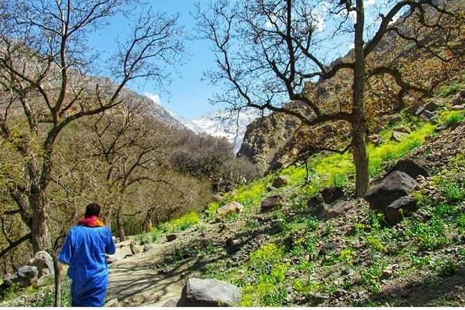 Summiting The Atlas Mountains, Day Hike & Trek From Marrakech - The climb from 1,700 to more than 2,500 meters