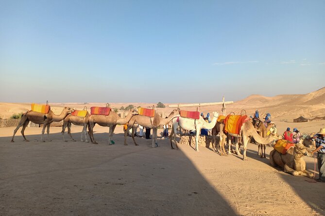 Sunset camel ride Agafay desert Marrakech - Getting the sunset timing right