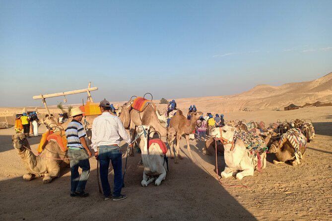 Sunset camel ride Agafay desert Marrakech - How the organization affects the experience