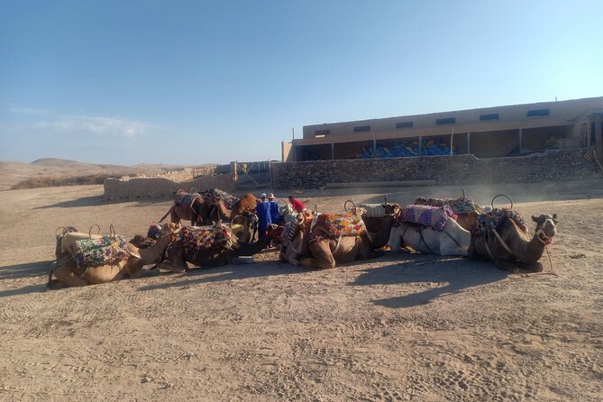 Sunset camel ride Agafay desert Marrakech - Who will enjoy this trip most?