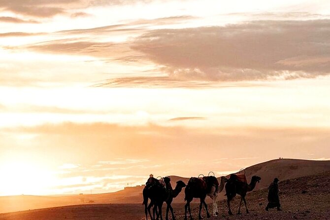 Sunset & Camel Ride & Dinner in Desert Agafay Marrakech - A Moroccan dinner under the stars