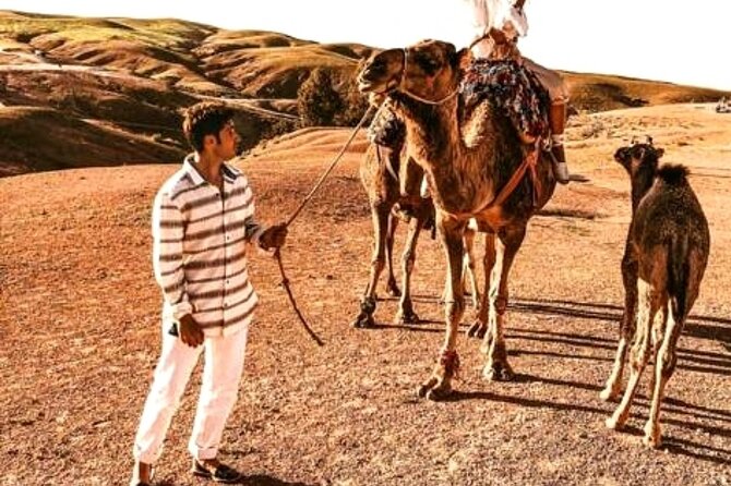Sunset & Camel Ride & Dinner in Desert Agafay Marrakech - Tea, preparation, and the camel ride