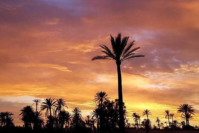Sunset Camel Ride in Agadir or Taghazout With Transfers - Choosing your camel and getting settled